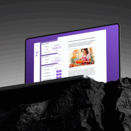 Anita Mockup Rock Bureau_Fabian_Draxl